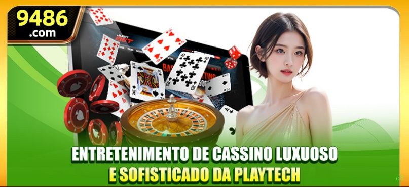 q3 Provedores Premium